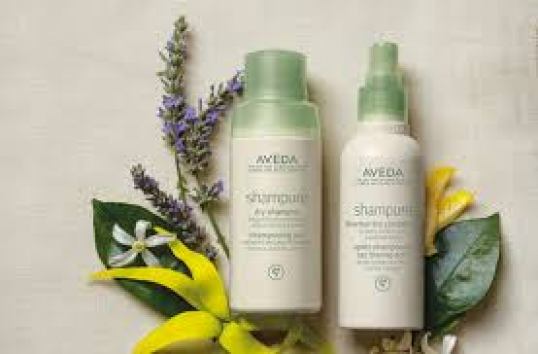Aveda dry shampoo & conditioner